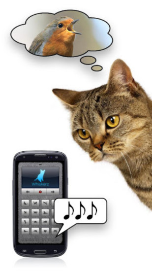 人猫交流器安卓版下载