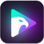 光鹰视频app官网版下载v1.0.5最新版
