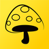 蘑菇丁app手机版下载 v3.2.5 最新版