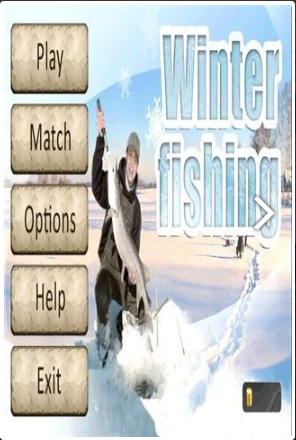 冬季钓鱼3D游戏下载