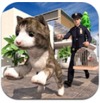 非常宠物猫模拟器游戏安卓版下载v1.0.0最新版
