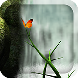 森林的另一边app安卓版下载v1.3.13最新版