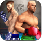世界拳击2019游戏安卓版下载v1.4.0