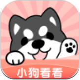 小狗看看app最新版下载v1.0.0.3