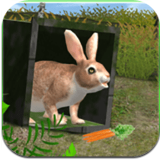 终极兔子模拟器破解版安卓版下载v1.03
