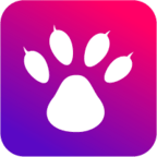 猫熊电竞手机版下载 v1.0.29 最新版