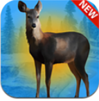 免费猎鹿3D游戏安卓版下载v1.0最新版