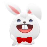 兔兔助手pokemon