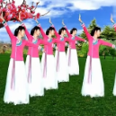 广场舞大全免费版：一款可以免费学习广场舞的神器