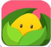美柚孕期app安卓版下载v4.3.2
