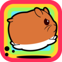 仓鼠农场游戏安卓版下载v1.0.3