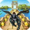 大猩猩飞行跑酷安卓游戏免费版下载 v1.1.3
