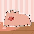 饲养小猪安卓游戏红包版下载安装 v1.0.21010603