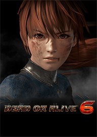 死或生6电脑游戏终极版免费下载