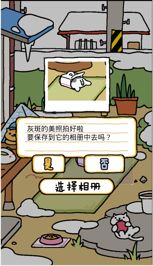 猫咪后院中文版下载
