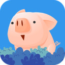 诱捕小猪安卓版游戏下载v1.0.2