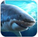 真实模拟鲨鱼捕食游戏手机版下载v1.0.0.0124