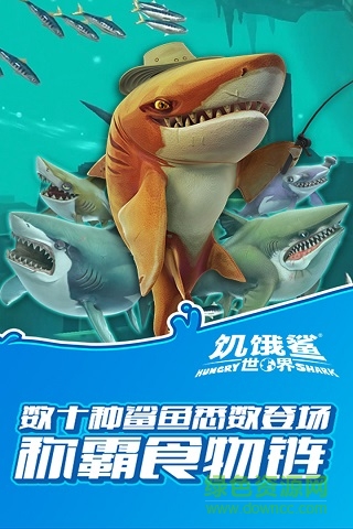 饥饿鲨世界新版无限钻石版下载