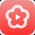 夜线视频永久免费版下载-夜线视频下载app安装