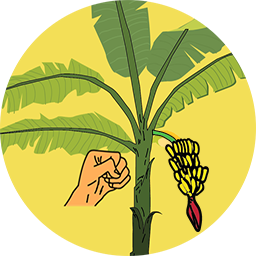 破坏热带植物破解版app下载-破坏热带植物免费版下载安装