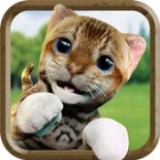 可爱的猫模拟器最新免费下载-可爱的猫模拟器安卓版下载