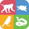 动物守护者最新版手机app下载-动物守护者无广告破解版下载