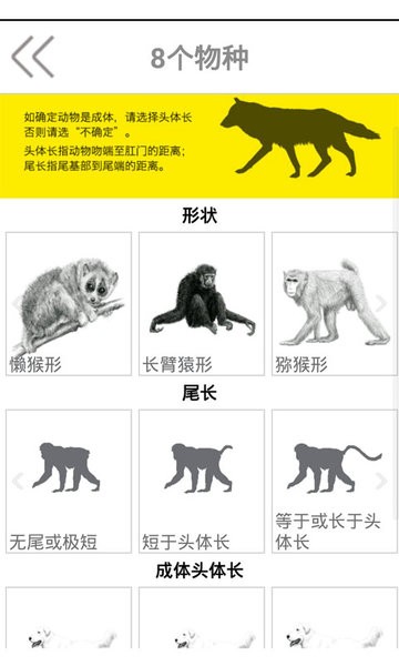 动物守护者最新版手机app下载-动物守护者无广告破解版下载
