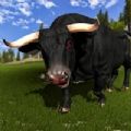 愤怒的公牛攻击捕食者3D免费中文下载-愤怒的公牛攻击捕食者3D手游免费下载
