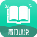 青竹小说无广告版app下载-青竹小说破解版app下载
