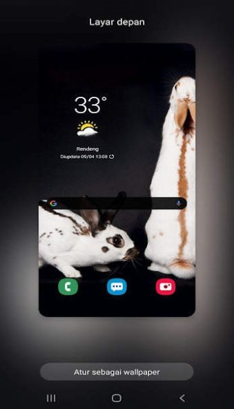 新兔子壁纸破解版app下载-新兔子壁纸免费版下载安装