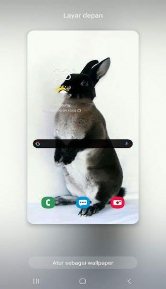新兔子壁纸破解版app下载-新兔子壁纸免费版下载安装