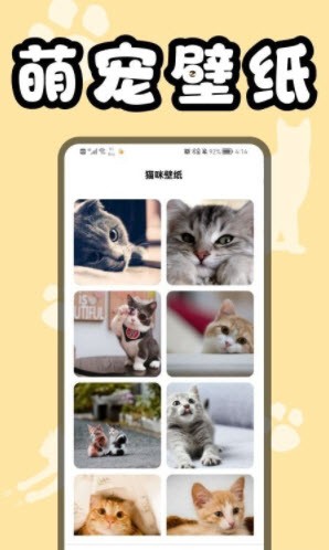 猫猫翻译器无广告版app下载-猫猫翻译器官网版app下载