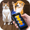 我的猫猫狗狗翻译器官网版app下载-我的猫猫狗狗翻译器免费版下载安装