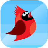 红鸟跳上天空免费中文下载-红鸟跳上天空手游免费下载