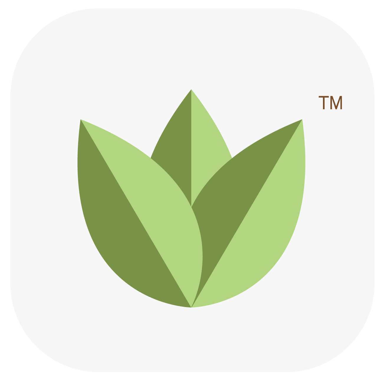Plants shop安卓版手机软件下载-Plants shop无广告版app下载