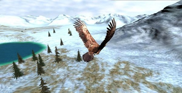 鹰狩猎之旅游戏下载安装-鹰狩猎之旅最新免费版下载