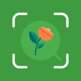 花卉百科下载app安装-花卉百科最新版下载