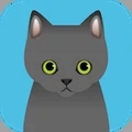可爱猫咪最新免费版下载-可爱猫咪游戏下载