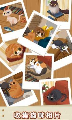 猫咪慵懒的日常游戏手机版下载-猫咪慵懒的日常最新版下载