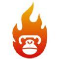 猴子探站永久免费版下载-猴子探站下载app安装