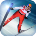 高山滑雪大冒险最新游戏下载-高山滑雪大冒险安卓版下载