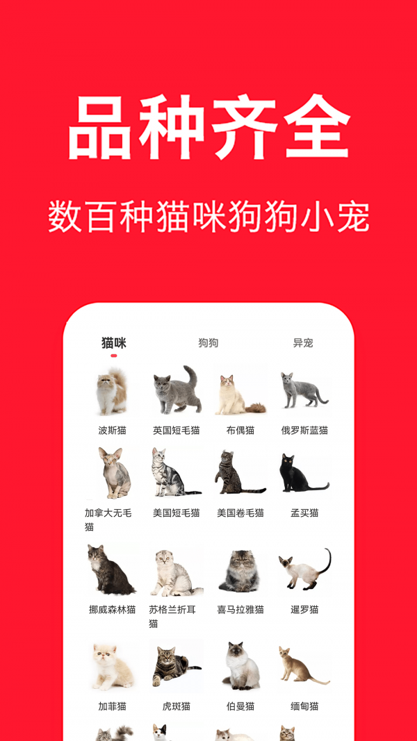 宠物宝永久免费版下载-宠物宝下载app安装