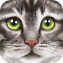 终极猫模拟器最新游戏下载-终极猫模拟器安卓版下载