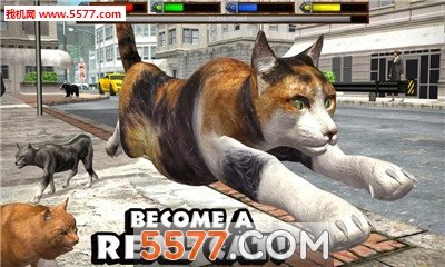 终极猫模拟器最新游戏下载-终极猫模拟器安卓版下载