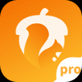 坚果隐藏pro安全保护永久免费版下载-坚果隐藏pro安全保护下载app安装