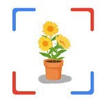 花朵识别永久免费版下载-花朵识别下载app安装