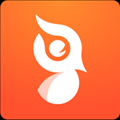 啄木鸟运动下载app安装-啄木鸟运动最新版下载