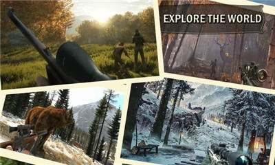 荒野猎人3D最新游戏下载-荒野猎人3D安卓版下载