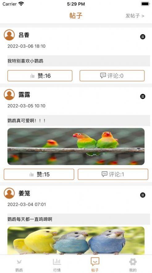 清萌鹦鹉最新版手机app下载-清萌鹦鹉无广告版下载