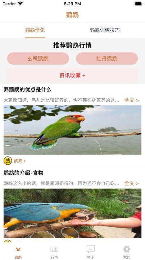 清萌鹦鹉最新版手机app下载-清萌鹦鹉无广告版下载